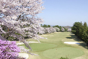 桜のゴルフ場