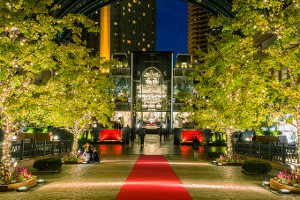 Baccarat ETERNAL LIGHTS